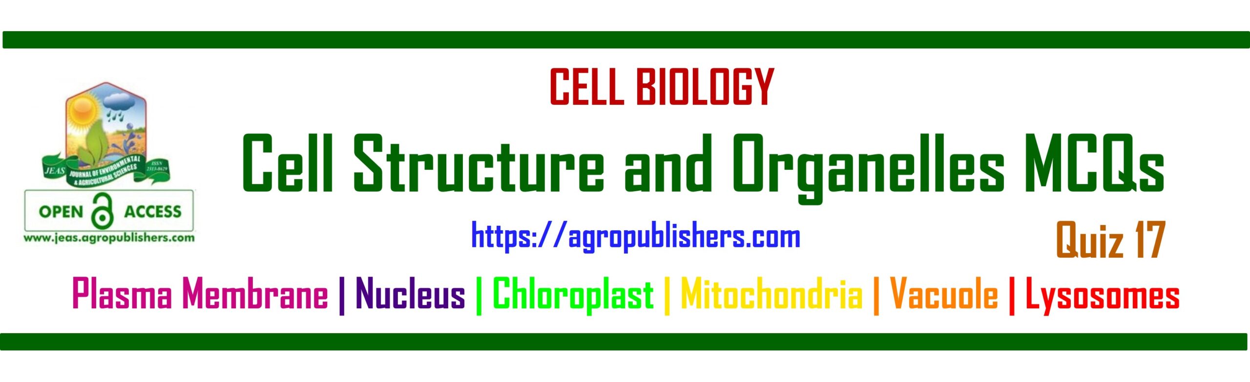 Cell Structure and Organelles MCQs Quiz 17