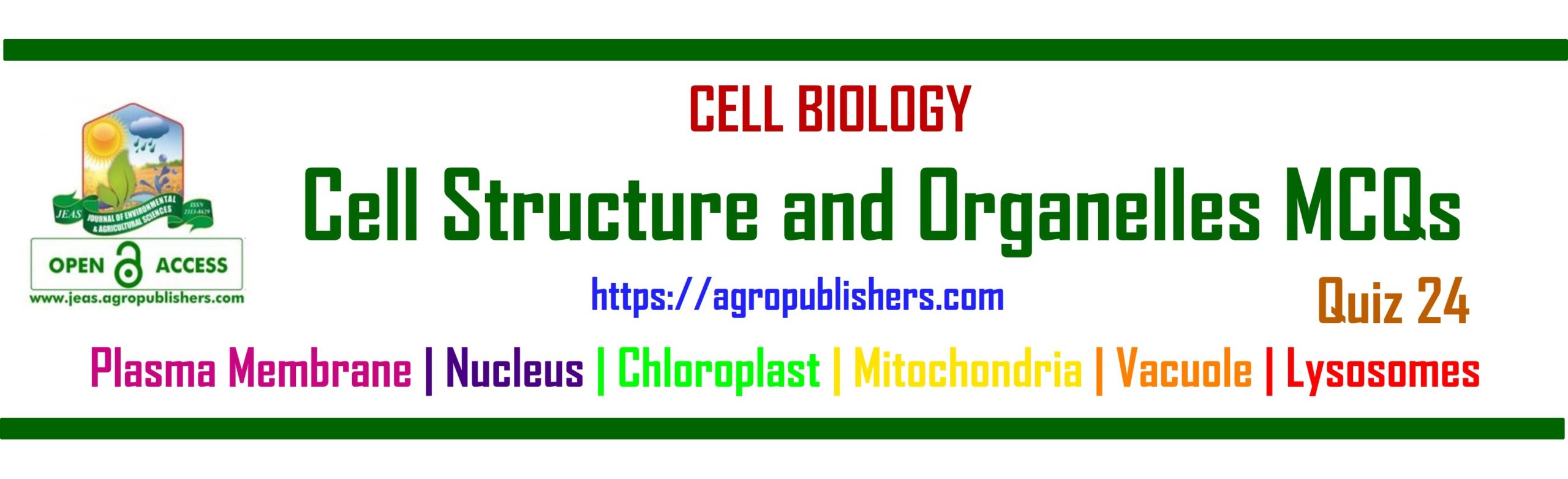 Cell Structure and Organelles MCQs Quiz 24