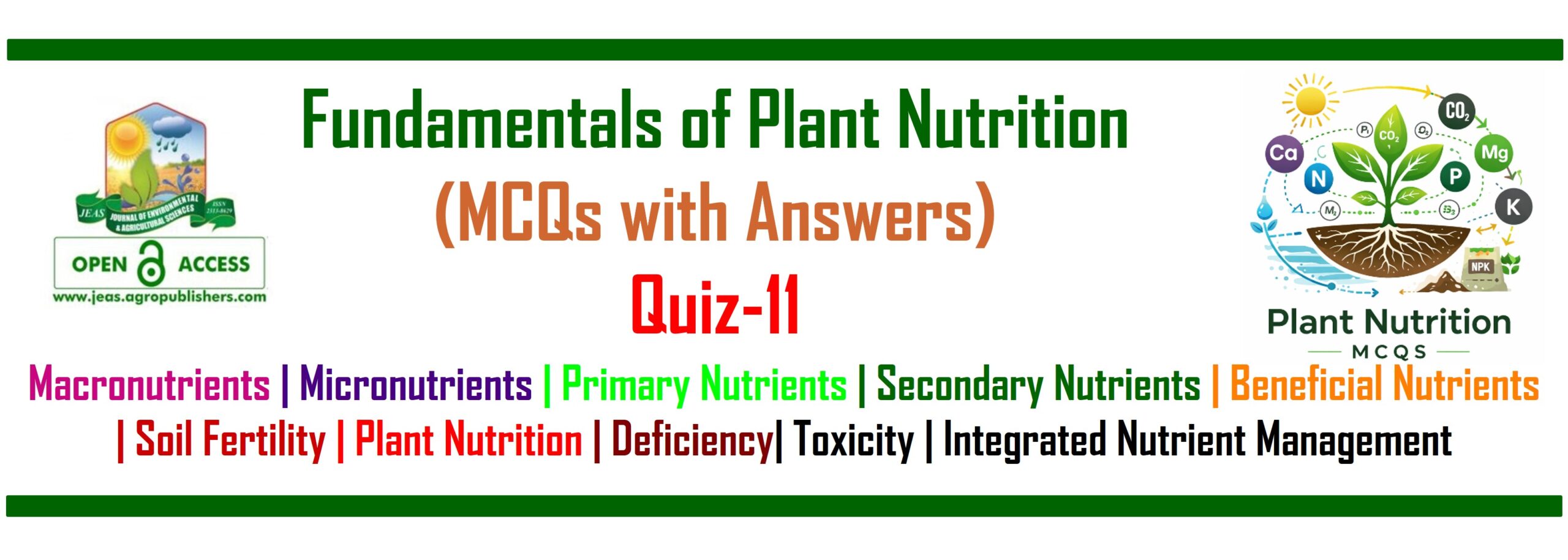 Fundamentals of Plant Nutrition MCQs Quiz 11
