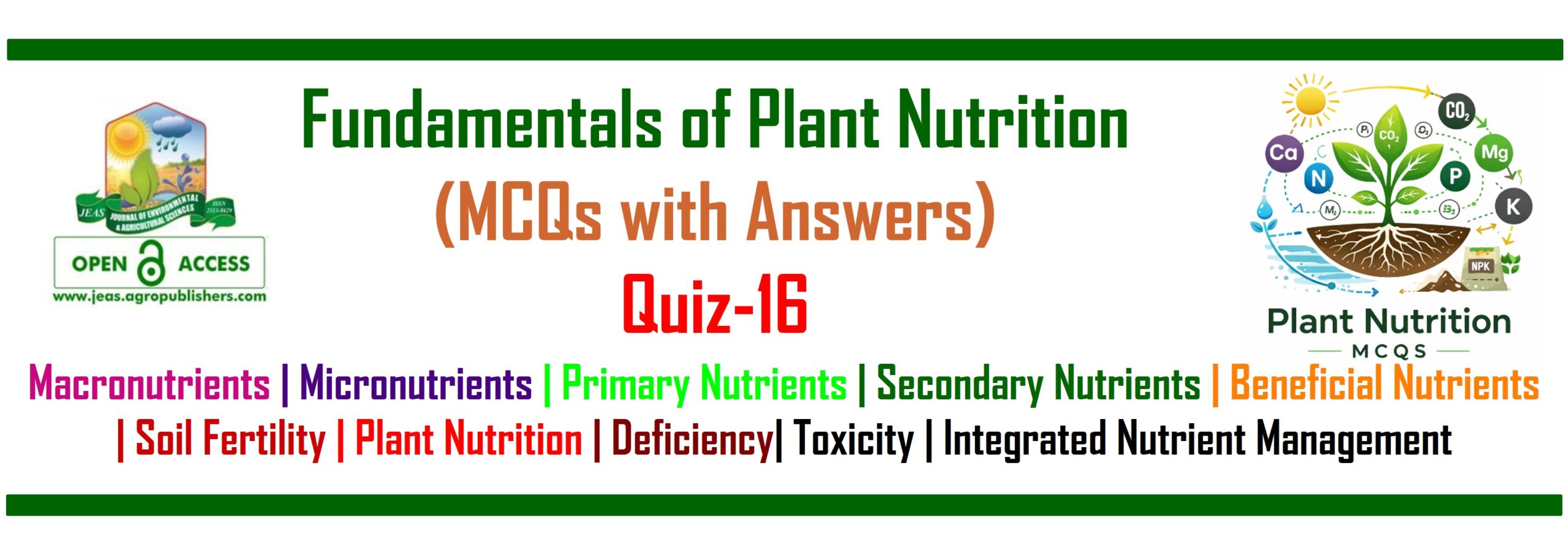 Fundamentals of Plant Nutrition MCQs Quiz 16